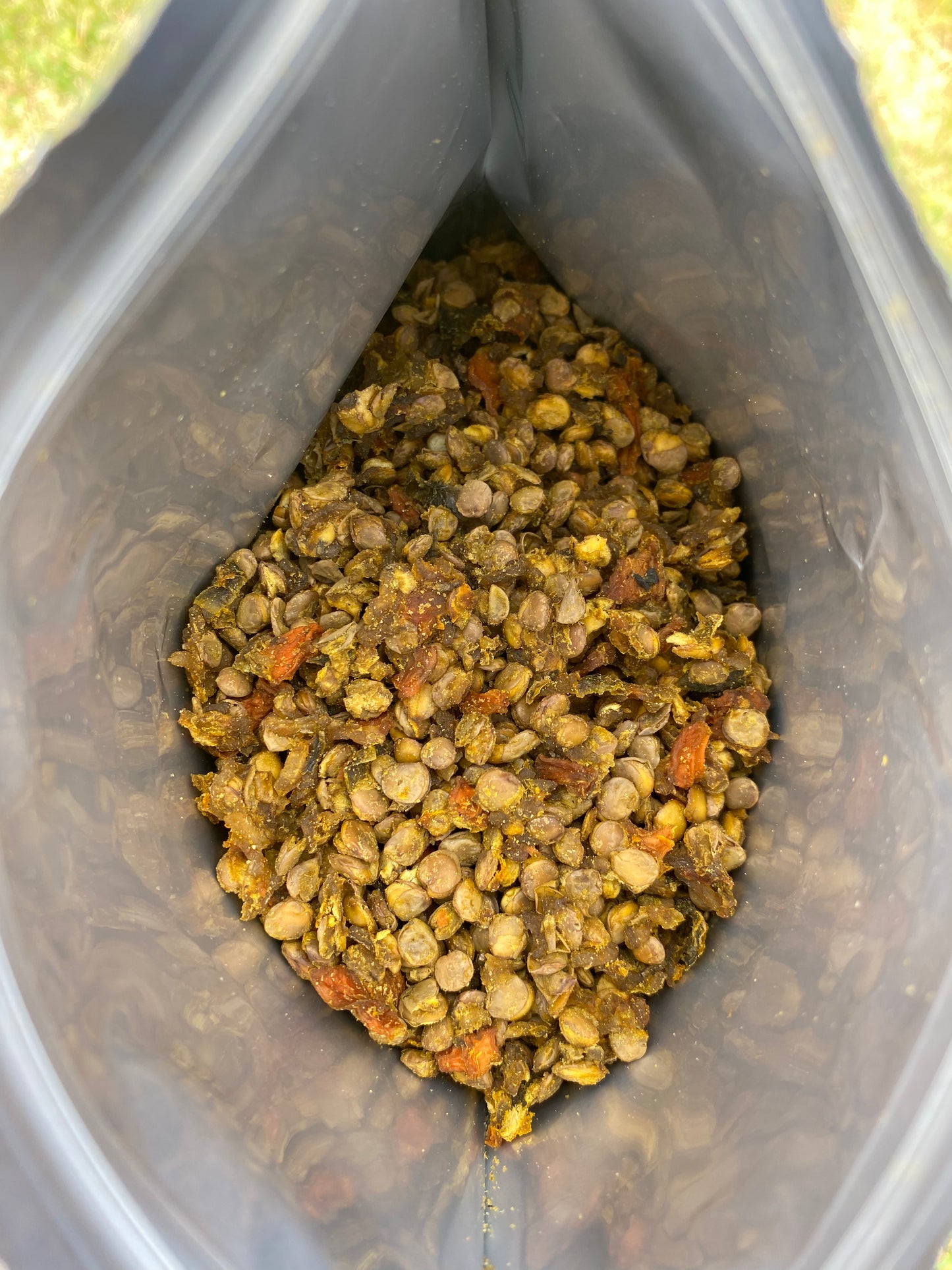 Guiso de lentejas- 1p