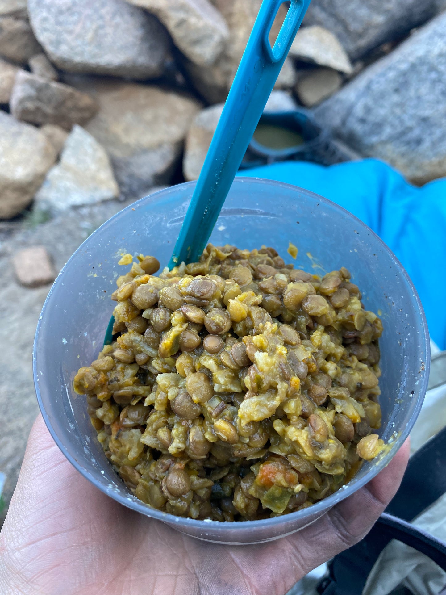 Guiso de lentejas- 1p